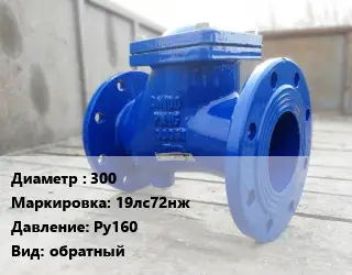 Клапан стальной 300 19лс72нж Ру160 обратный